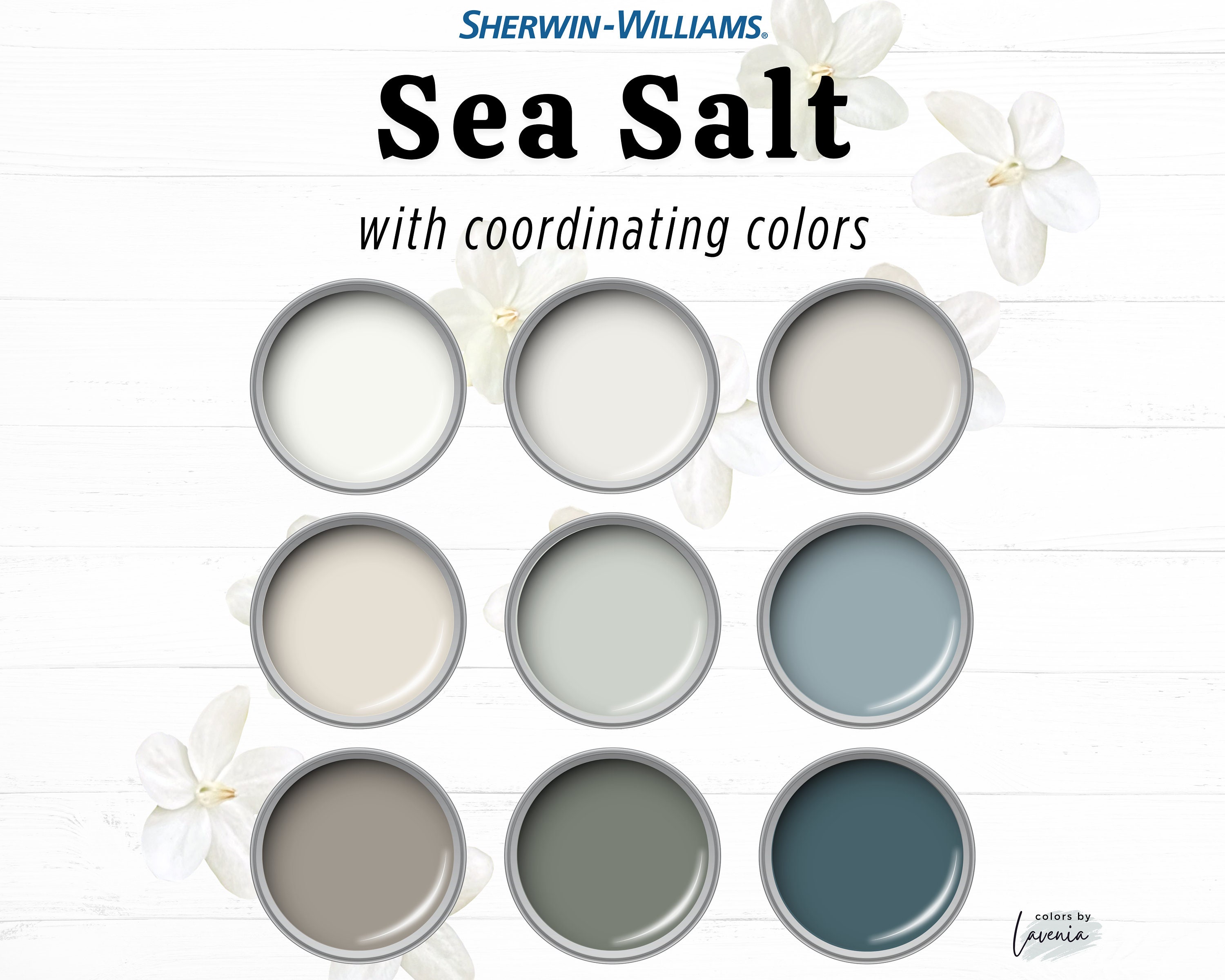 Sherwin williams sea salt paint outlet