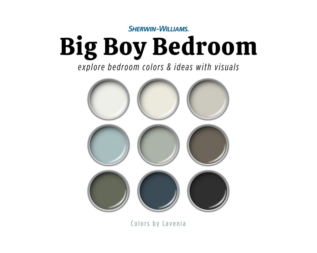 Boy and Teen Bedroom Color Palette: Sherwin Williams Paint Palette for