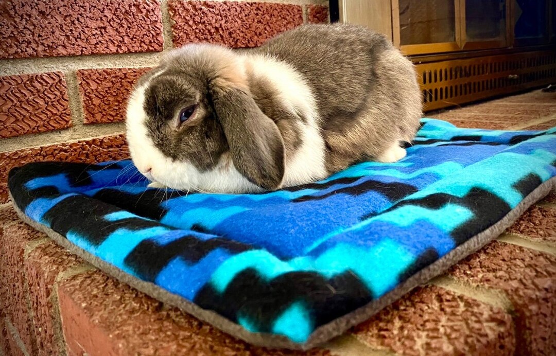 Fleece Bunny Bed Pee Pad Cushion Etsy