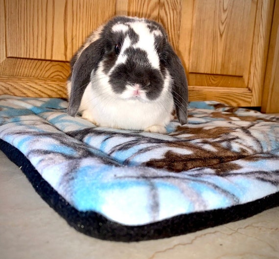 Rabbit pee cheap pad