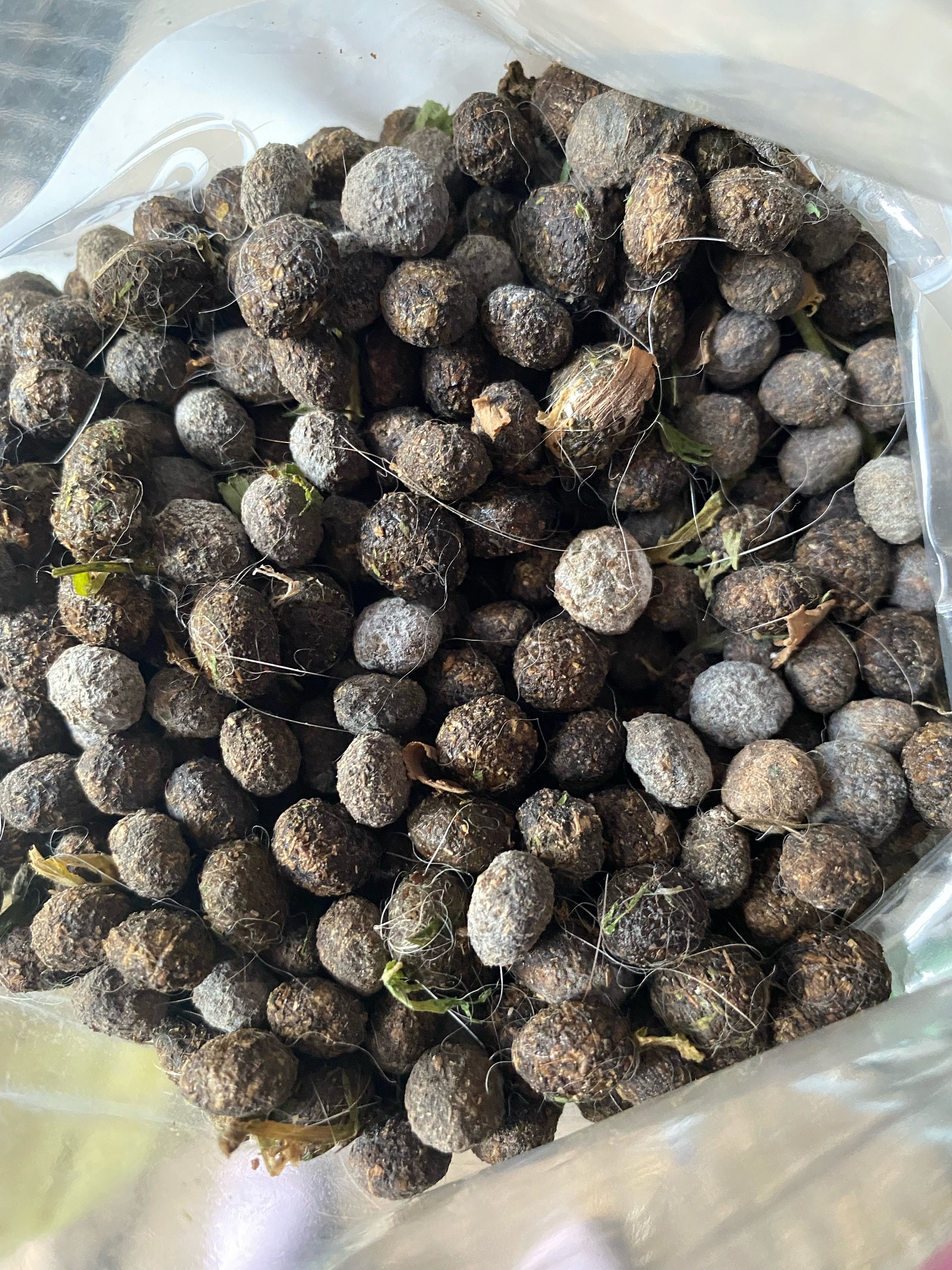 100 Natural Rabbit Poop Fertilizer 1 Quart Etsy