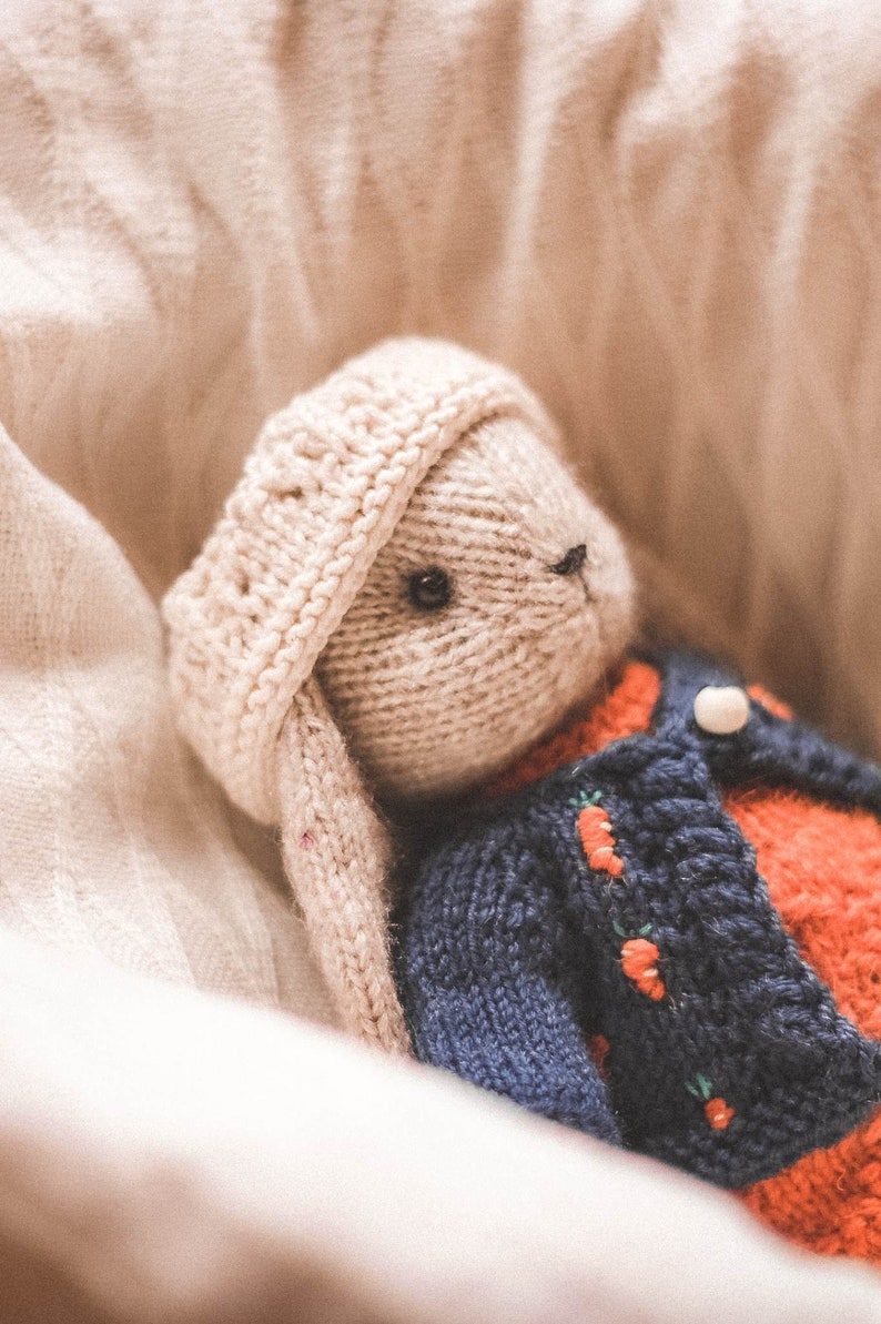 Rabbit Knitting Pattern Knitting Bunny Pattern - Rabbit in Clothes Eng ...
