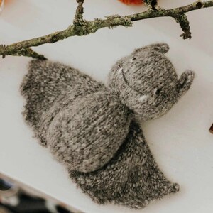 May include: A gray knitted bat with a smiling face. The bat is made of soft, fuzzy yarn and has a long, pointed nose and large, floppy ears.