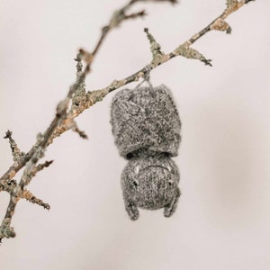 May include: A gray knitted bat hanging from a bare branch with lichen.