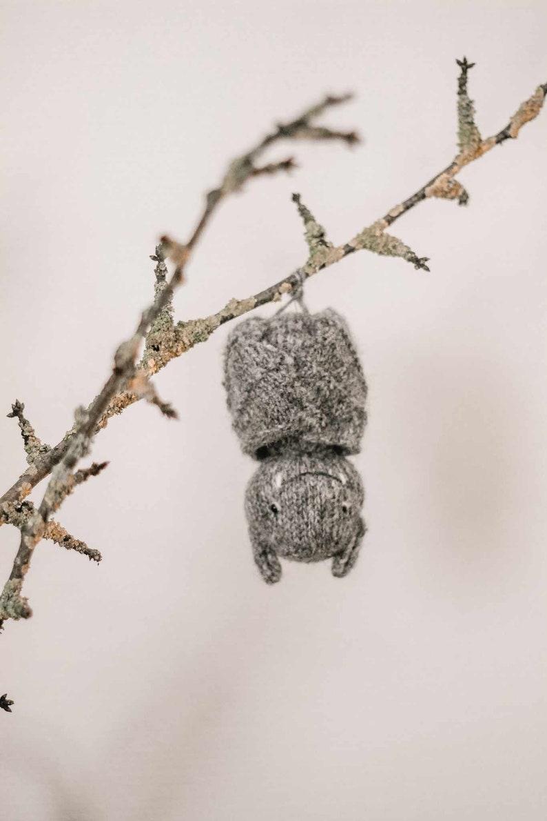 May include: A gray knitted bat hanging from a bare branch with lichen.