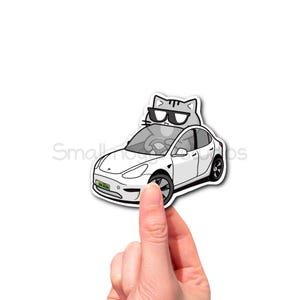Autocollant en vinyle pour voiture, chat tigré gris, conduite EV T, accessoire de voiture kawaii, cadeau pour amoureux des chats, électricité sans essence, autocollant de course mignon, art de voiture blanche.