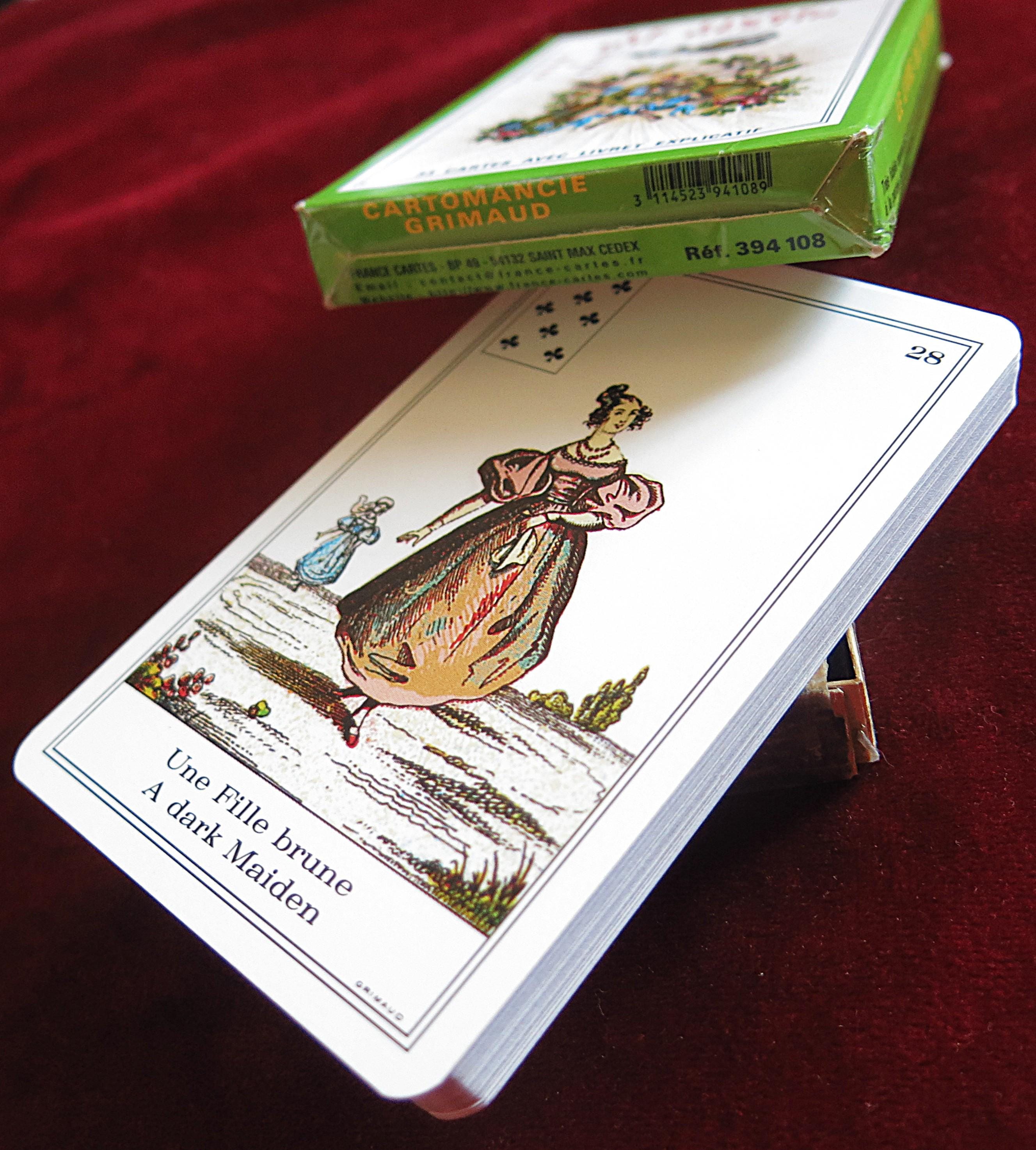 Jeu Du Destin édition Verte Grimaud - Complet Et Rare - Vintage