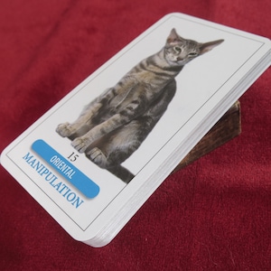 Das Tarot der Katzen &quot;Femme Actuelle&quot; SEHR SELTEN - Taschen-Tarot