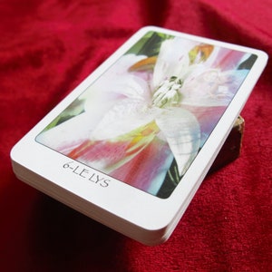 Gaia Pocket tarot - 22 Major - easy to read tarot, eco tarot, French oracle, metaphysical cards