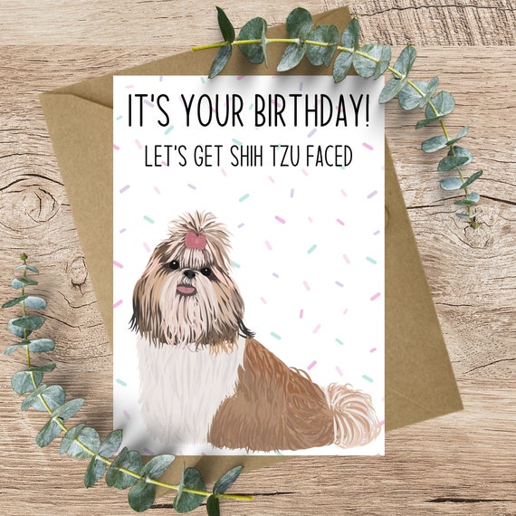 Funny Shih Tzu Birthday Card: A6 Greeting Card