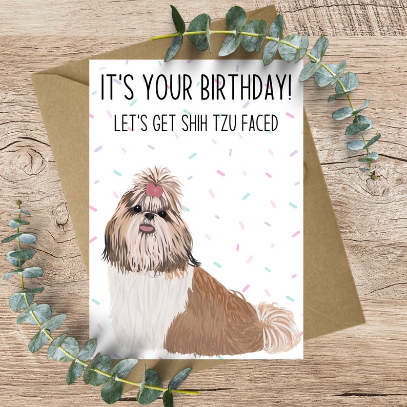 Pu&ograve; includere: Un biglietto di auguri per il compleanno con una simpatica illustrazione di un cane Shih Tzu con un fiocco rosa sulla testa. Il biglietto dice "&Egrave; il tuo compleanno! Facciamoci Shih Tzu faced!"