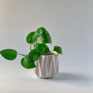What a Gem - Plant Pot