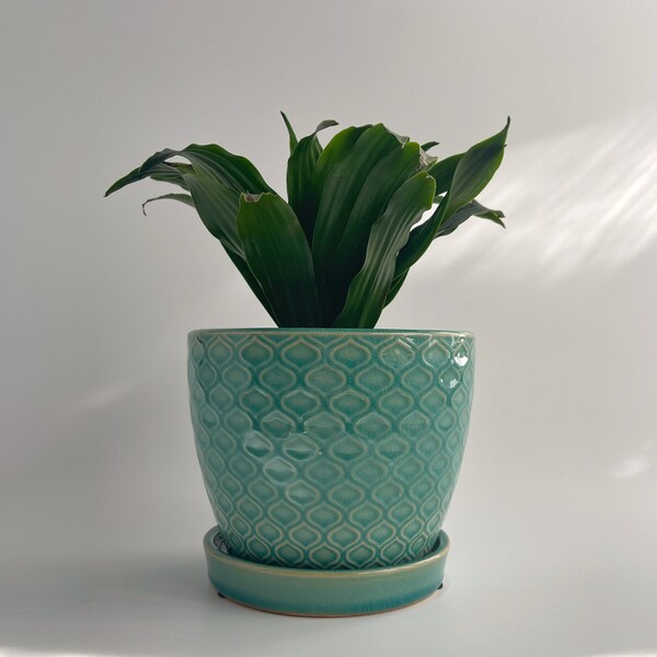 Ocean Mysteries - Plant Cover Pot