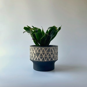Onyx Rattlesnake - Plant Cover Pot
