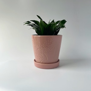 Blown Away - Plant Cover Pot