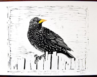 Starling Linocut Print, Original and Hand Printed | 5 Editions Signed on A4 | Free UK Shipping