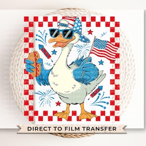 Boy Silly Goose 4th of July DTF Transfer, Kids Patriotic Shirt Bild 1