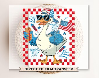 Boy Silly Goose 4th of July DTF Transfer, Kids Patriotic Shirt