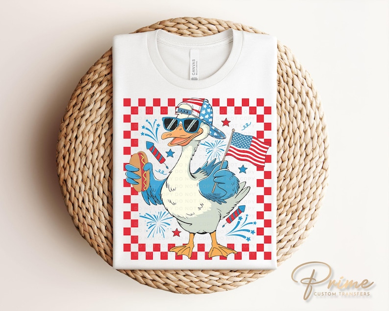 Boy Silly Goose 4th of July DTF Transfer, Kids Patriotic Shirt Bild 2