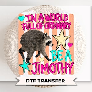 Be a Jimothy DTF Transfer, Ready to Press, Funny Seattle Raccoon Tshirt Design