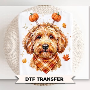 May include: A white DTF transfer featuring a golden-brown curly-haired dog wearing a plaid bandana and a headband with two orange pumpkins. The design includes small gold star accents and scattered autumn leaves in shades of orange and yellow.