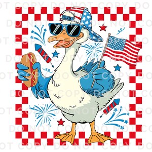 Boy Silly Goose 4th of July DTF Transfer, Kids Patriotic Shirt Bild 6