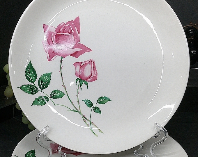 2403 Canonsburg Pottery Co. Round the Clock Burmuda Rose 10" Dinner Plates Set of 5 Good Condition Some Wear on Edges No Chips