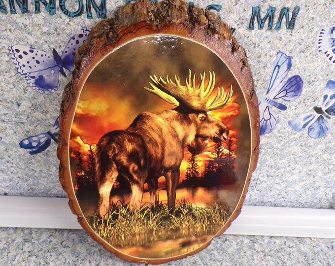 2210 Wood Slice Wall Plaque with Moose or Caribou Vintage 10.5" x 8" - Park Rapids, MN Stamp on Back - Good Vintage Condition