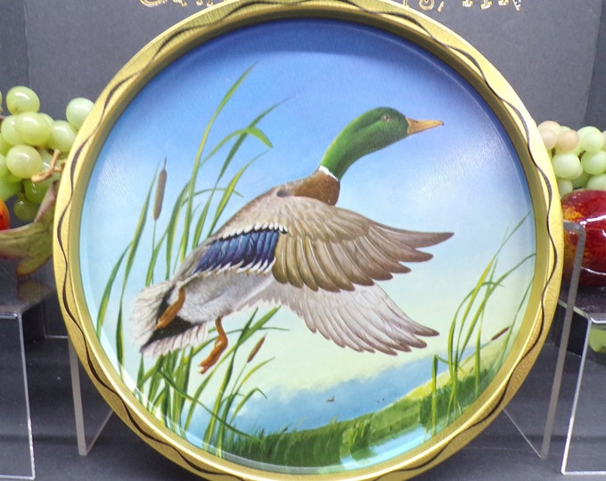 2303 Flying Mallard Duck on Gold Colored Tin Metal 11" Serving Tray Platter Vintage 1950's - Excellent Condition Like New
