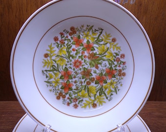 2507 Corelle Indian Summer Vintage 10.25" Dinner Plates Set of 4 - Pre-owned Good Condition Some Light Scratches