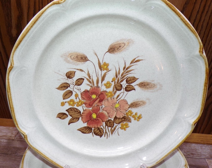 2508 International Endura Stoneware SY6669 Festive 10.5" Vintage Dinner Plates Set of 4 Made in Japan - Excellent Condition