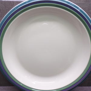 May include: A white ceramic plate with a wide rim. The rim features concentric bands of teal, green, and purple. The plate is round and has a slightly recessed center, suitable for serving food.