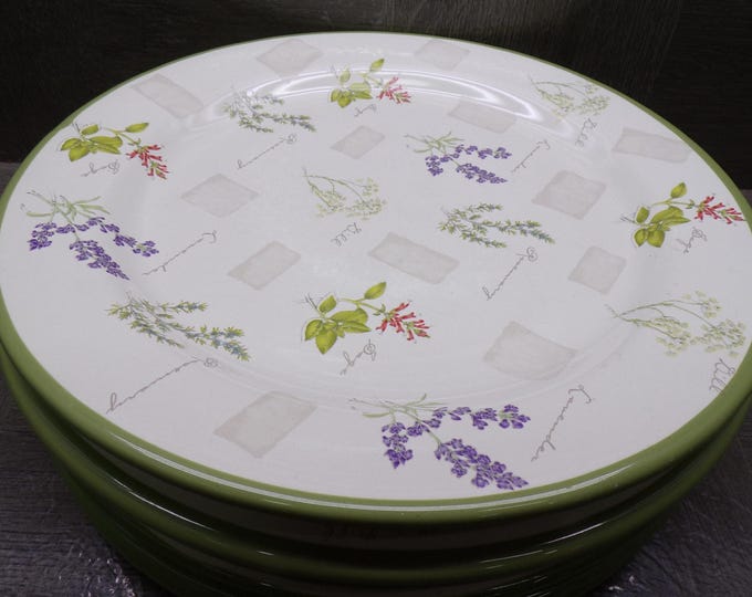 2604 Sonoma Herb Garden 10.75" Stoneware Dinner Plates Set of 6