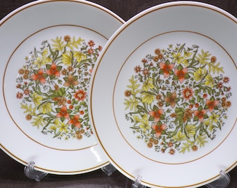 2602 Corelle Indian Summer Vintage 10.25" Dinner Plates Set of 2 - Great Condition