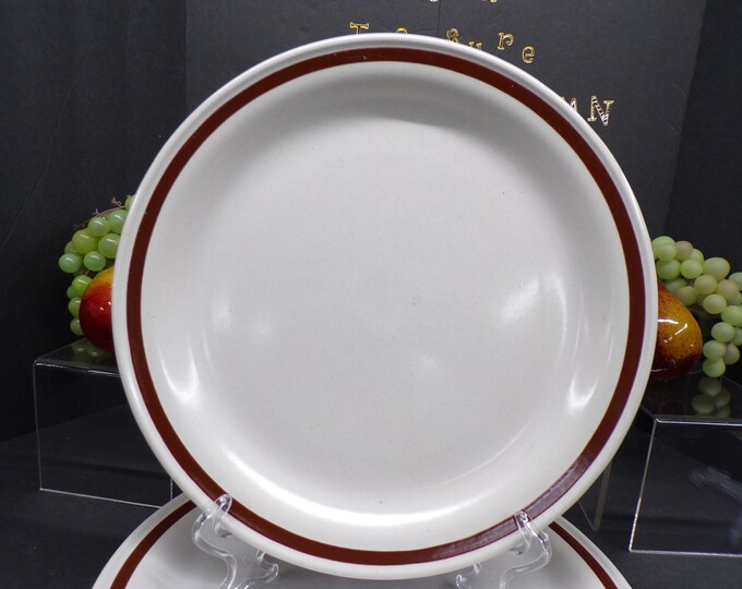 2302 Country Living Stoneware "Spicewood" 10.75" Dinner Plates Vintage Set of 4 - One has a Chip on Bottom (Last Pic)