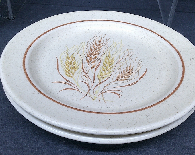 2403 Anchor Hocking Ironstone Autumn Glory 7.5" Salad / Snack / Lunch Plate Vintage Set of 2 USA - Like New