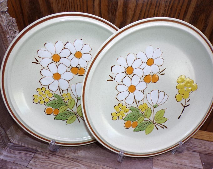 2509 Hearthside Floral Expressions Summertime 10.5" Hand-painted Stoneware Dinner Plates - Floral on Sand w/ Brown Rim - Great Condition