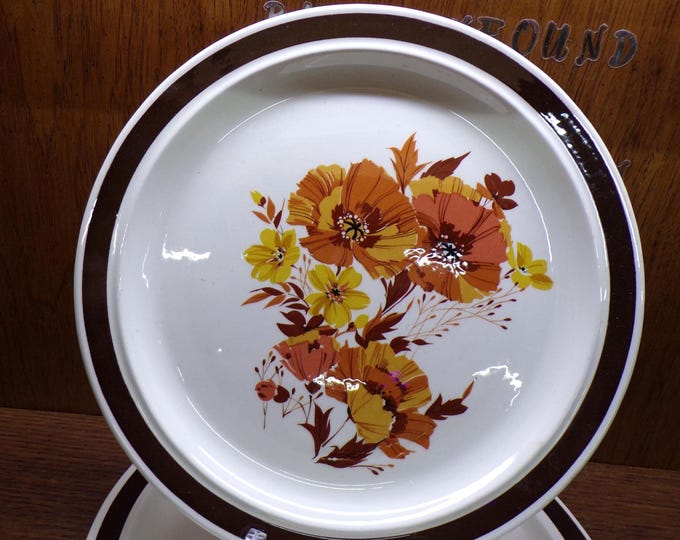 2505 Royal China 10.5" Vintage Stoneware Dinner Plates w/ Brown & Orange Autumn Flowers and Brown Rim - Sebring, OH USA - Good Condition