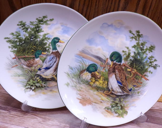 2509 Pair of JK 9.5" Mallard Duck Vintage Collector Plates by M. Arndt Made in Occupied Germany - Excellent Condition