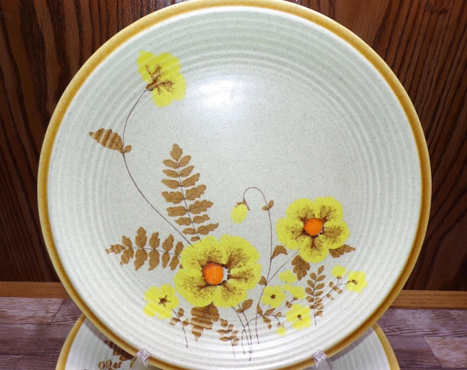 2509 Mikasa Natures Song C1051 Fernflower 10.5" Vintage Stoneware Dinner Plates Set of 6 Made in Japan - Great Condition