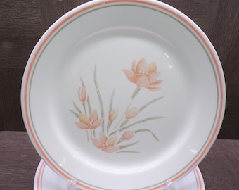 2605 Corelle Peach Floral 10.25" Dinner Plates Set of 6 Peach & Green Rim Some Wear and Scratches