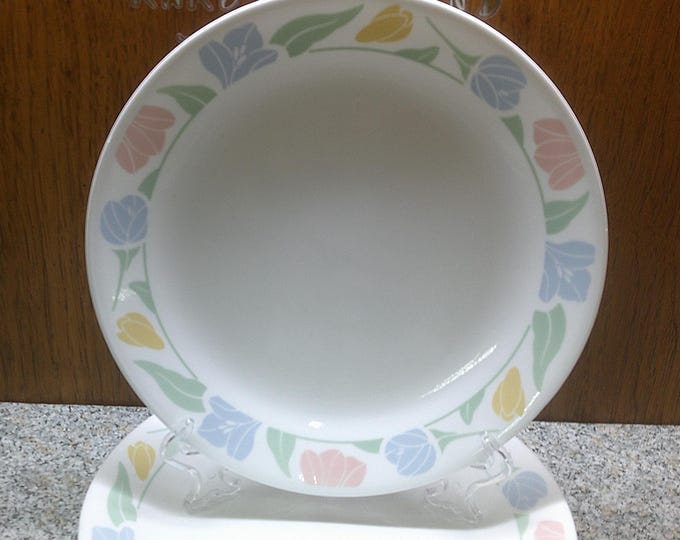 2410 Corelle Friendship Tulip Pastel Colors 1996 Vintage Retired 10.25" Dinner Plates Set of 6 - Good Condition Light Wear