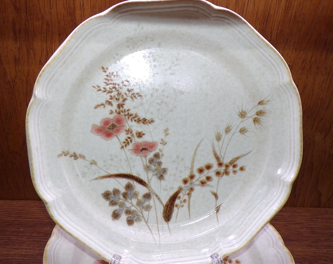 2503 Mikasa Country Charm FG003 Strawflowers 11" Raised Rim Dinner Plates Set of 4 - Great Condition