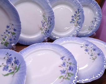 2508 Aston & Westwood Enchanted Blue Flowers of Copenhagen 1986 Vintage Discontinued 7.5" Plates Set of 8 - Great Condition Beautiful Plates