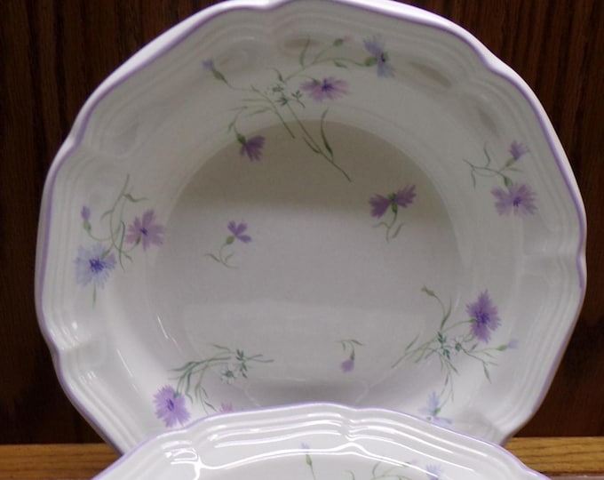 2509 Mikasa F9005 French Countryside Jaleh 8.5" Stoneware Soup / Cereal Bowls Set of 2 - Great Condition