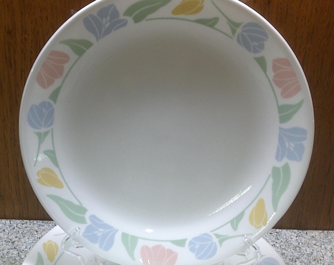 2410 Corelle Friendship Tulip Pastel Colors 1996 Vintage Retired 10.25" Dinner Plates Set of 6 - Good Condition Light Wear