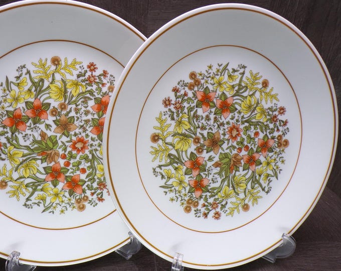 2602 Corelle Indian Summer Vintage 10.25" Dinner Plates Set of 2 - Great Condition