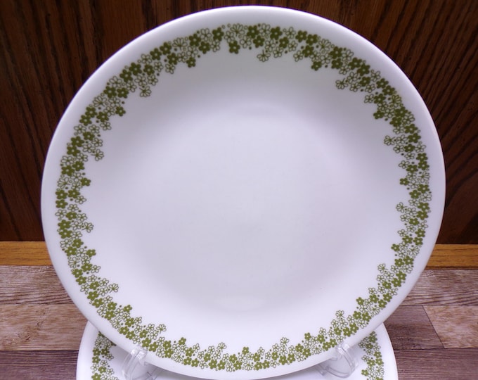 2509 Corelle Spring Blossom Green Crazy Daisy 8.5" Vintage Salad / Lunch Plates Set of 4 - USA- Great Condition Light Wear