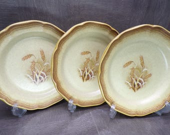 2602 Mikasa Whole Wheat Granola E8001 Oven to Table Bowl Stoneware 8" Plate Set of 3 - Excellent Condition