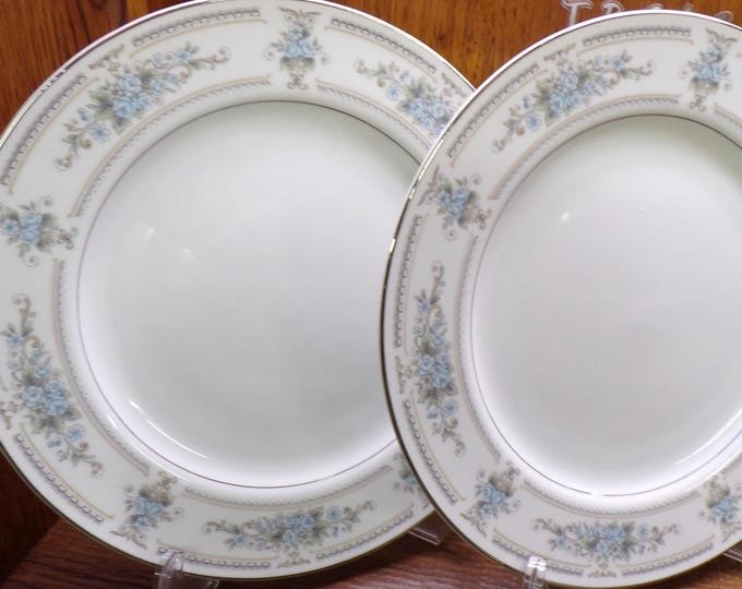 2504 Pair of Ellington Fine Porcelain 10.25" Dinner Plates w/ Blue Floral & Platinum Rim - Great Condition